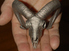 Ram Skull - 9 inches  3d printed Stainless steel print