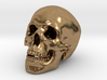 Human Skull - medium 3d printed 