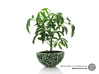 Little Galaxy Porcelain Pot (10,5 cm) 3d printed Gloss Oribe Green
