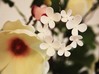 Jasmine flowers pendant 3d printed 