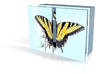 Butterfly box with split lid 4in 3d printed 