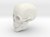 Non-scale Hollow Human Skull  3d printed 