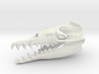 Basilosaurus Skull 3d printed 