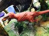 Daspletosaurus Anatomy 3d printed 