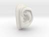 DIY Binaural Ear + Canal Anatomically Accurate - L 3d printed 