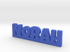 NORAH Lucky 3d printed 
