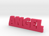 ANGEL Lucky 3d printed 