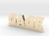 GAGE Lucky 3d printed 
