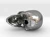Human skull - 65mm 3d printed 