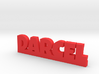DARCEL Lucky 3d printed 