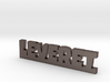 LEVERET Lucky 3d printed 