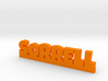 SORRELL Lucky 3d printed 