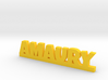 AMAURY Lucky 3d printed 