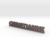 CHRISTIANNE Lucky 3d printed 