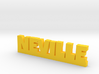 NEVILLE Lucky 3d printed 