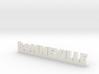 BONNEVILLE Lucky 3d printed 