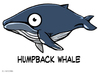 Breedingkit Humpback Whale 3d printed 
