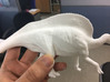 Ouranosaurus (Medium/Large size) 3d printed 