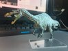 Suchomimus (Medium / Large size) 3d printed 