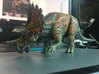Regaliceratops (Small/Medium/Large size) 3d printed 