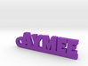 AYMEE Keychain Lucky 3d printed 