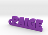 PAIGE Keychain Lucky 3d printed 