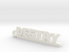 DESTRY Keychain Lucky 3d printed 