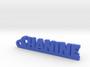 CHANINE Keychain Lucky 3d printed 