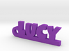 LUCY Keychain Lucky 3d printed 