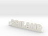 BRILAND Keychain Lucky 3d printed 