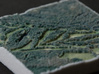 Pine Valley Golf Course, NJ, USA, 1:20000 3d printed 