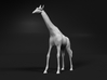 Giraffe 1:160 Standing Male 3d printed 