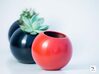 Sfera - planter for succulents and cactuses 3d printed Sfera 'S' sizes