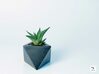 Octaedro - planter for succulents and cactuses 3d printed Octaedro 'S' size with a succulent plant, Haworthia Limifolia