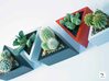Prisma - planter for succulents and cactuses 3d printed Prisma 'S' size with a cactus