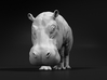 Hippopotamus 1:72 Walking Female 3d printed 