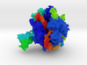 RNA Polymerase II 3d printed 