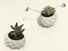 Bumpy Succulent Planter - Medium 3d printed 'bumpy' planter - small & medium versions