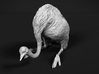 Ostrich 1:72 Guarding the Nest 3d printed 