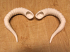 Fantasy Ram Horns 3d printed Actual 3D print using white strong flexible plastic.
