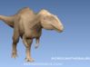 Acrocanthosaurus1:40 v1 3d printed 
