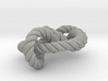 Miller institute knot (Rope with detail) 3d printed 
