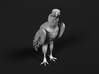 Lappet-Faced Vulture 1:48 Standing 3d printed 