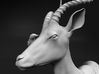 Impala 1:6 Male with Red-Billed Oxpecker 3d printed 