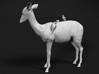 Impala 1:20 Female with Red-Billed Oxpeckers 3d printed 