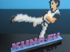 Kung fu nes 3d printed 