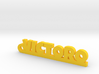 VICTORO_keychain_Lucky 3d printed 