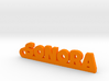 SONORA_keychain_Lucky 3d printed 