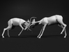 Impala 1:12 Fighting Males 3d printed 