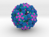 Coxsackievirus Virus-Like Particle 3d printed 